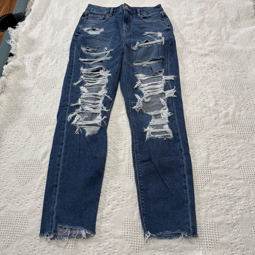 American Eagle Curvy Mom Jeans (4)